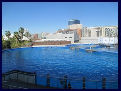 L'Oceanogràfic Oceanarium 111